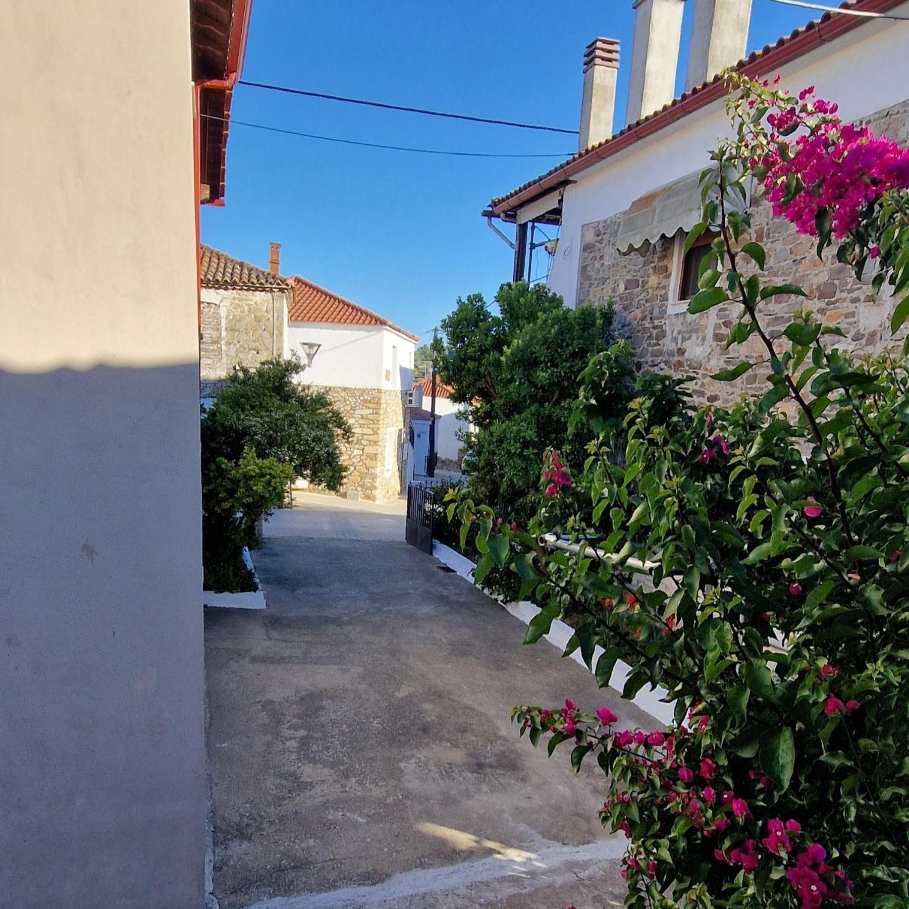 Nikolaos House Lägenhet Agios Nikolaos  Exteriör bild